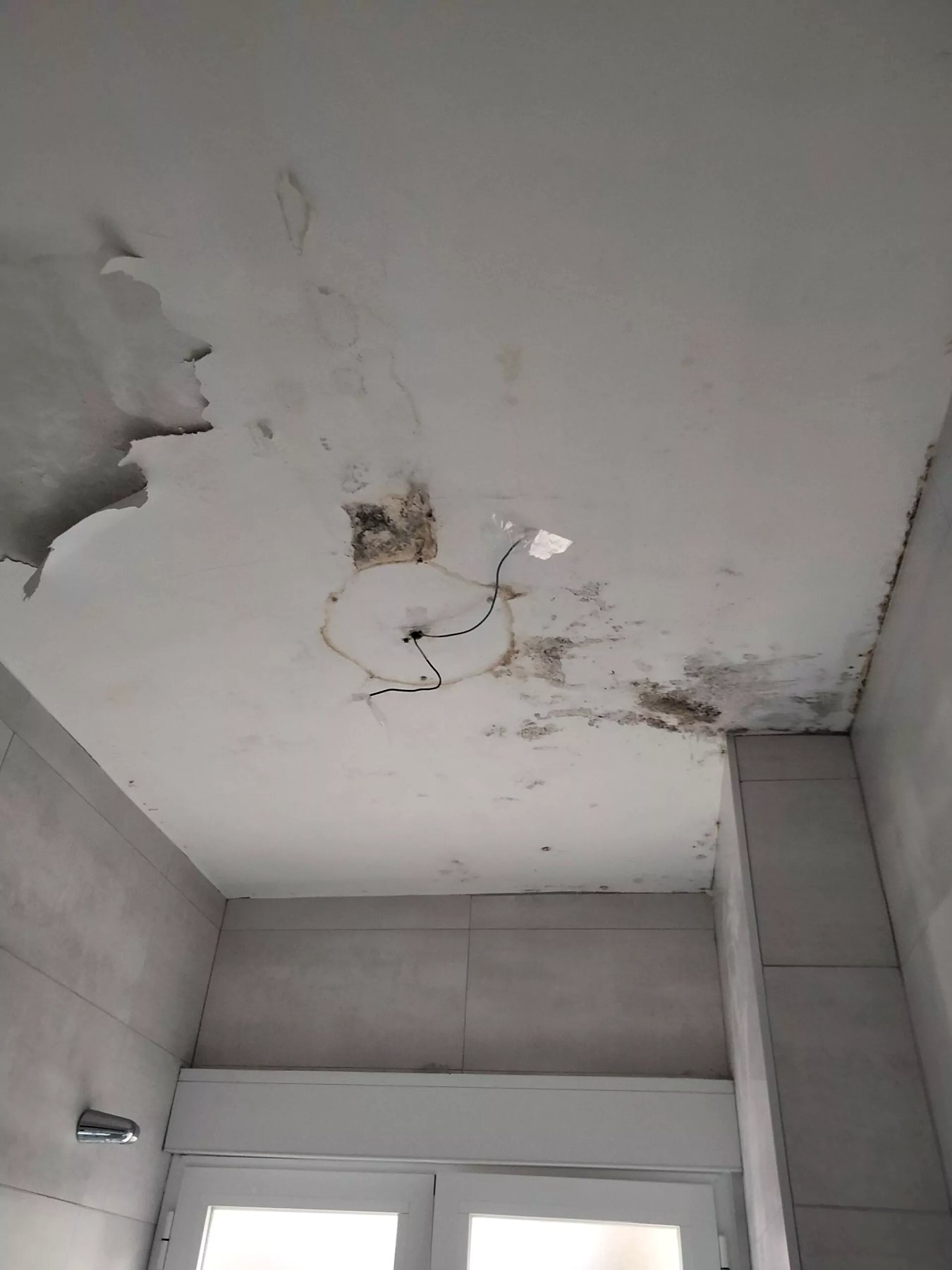 Trabajo de Su Pintor Óscar en Madrid